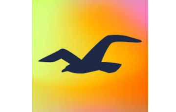 Hollister logo