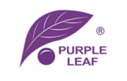 Purple Leaf Logo